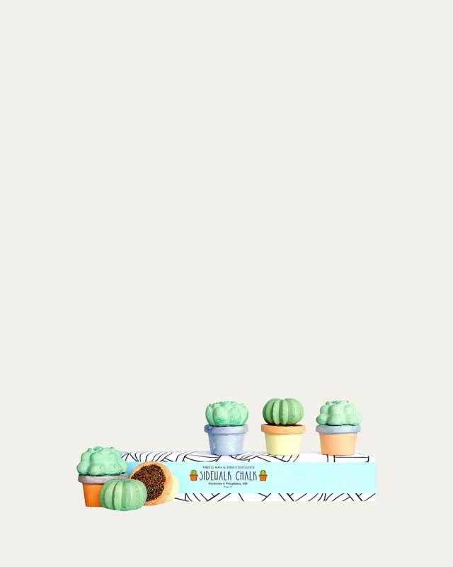 Kid's Maya & Siona's Succulent Sidewalk Chalk Set